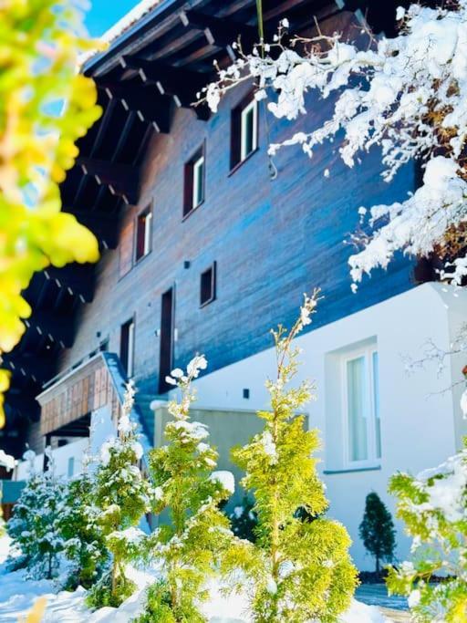 Bellevue & Classy Mountain View Apartment Кандерстег Екстериор снимка